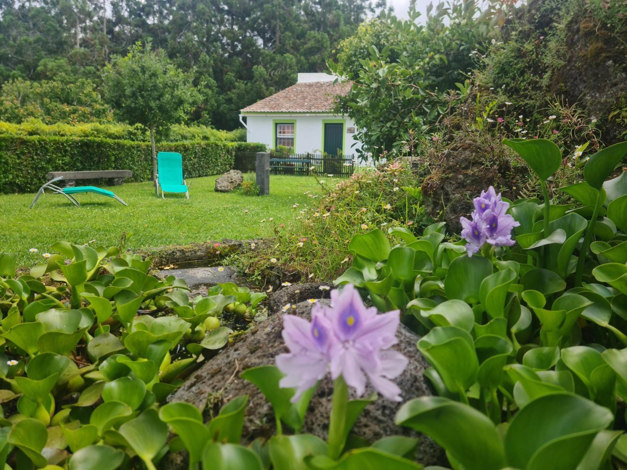 Stonewood Lodge Al São Vicente Ferreira Eksteriør bilde