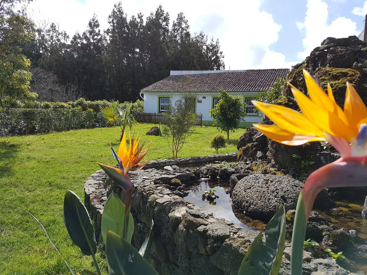 Stonewood Lodge Al São Vicente Ferreira Eksteriør bilde