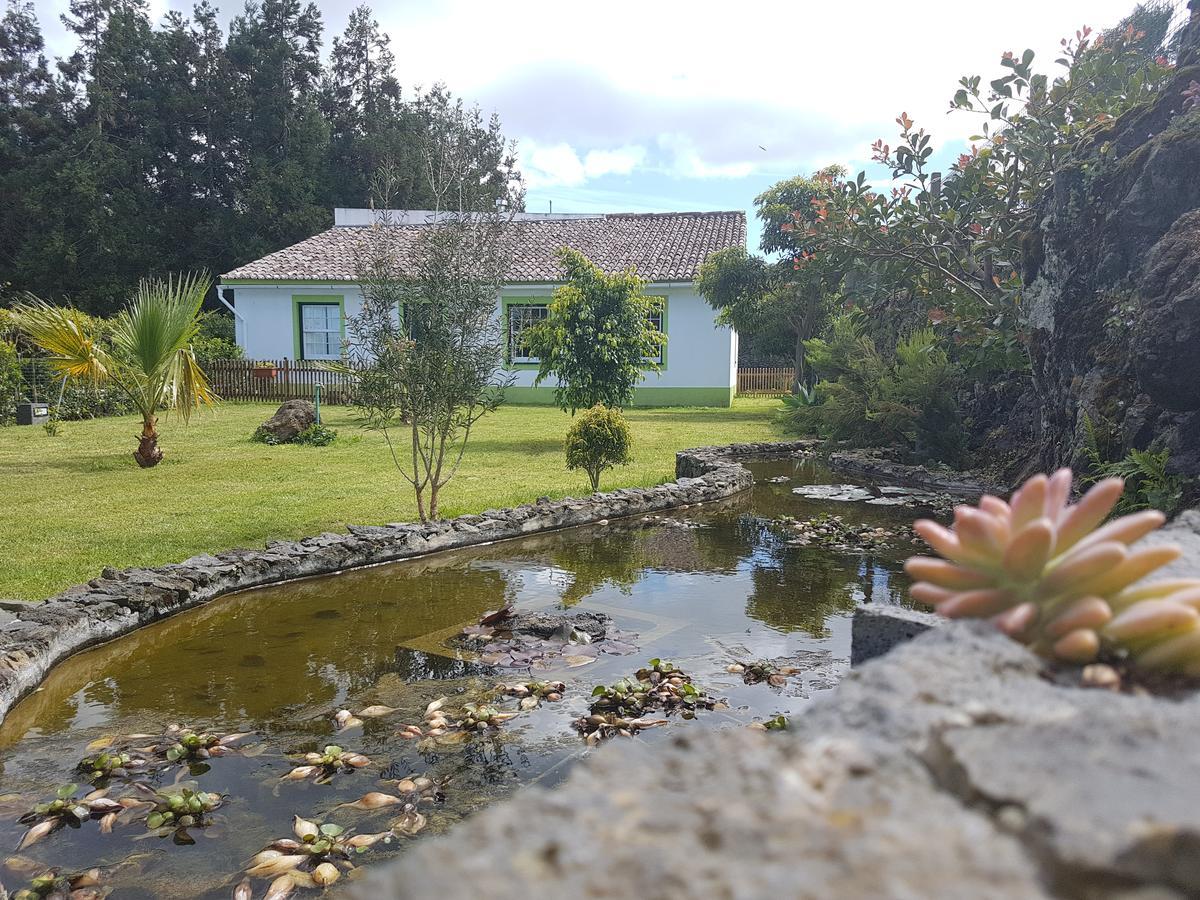 Stonewood Lodge Al São Vicente Ferreira Eksteriør bilde