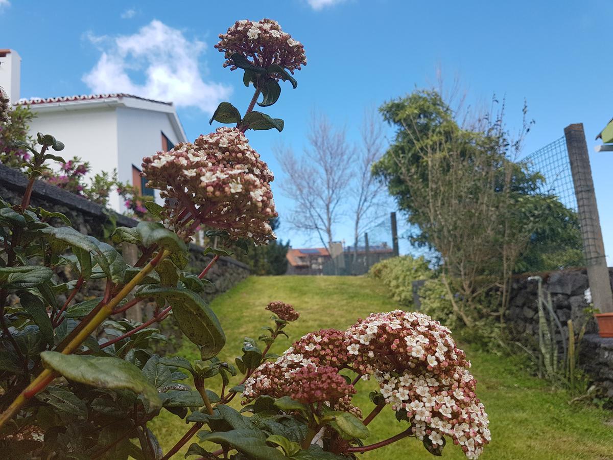 Stonewood Lodge Al São Vicente Ferreira Eksteriør bilde