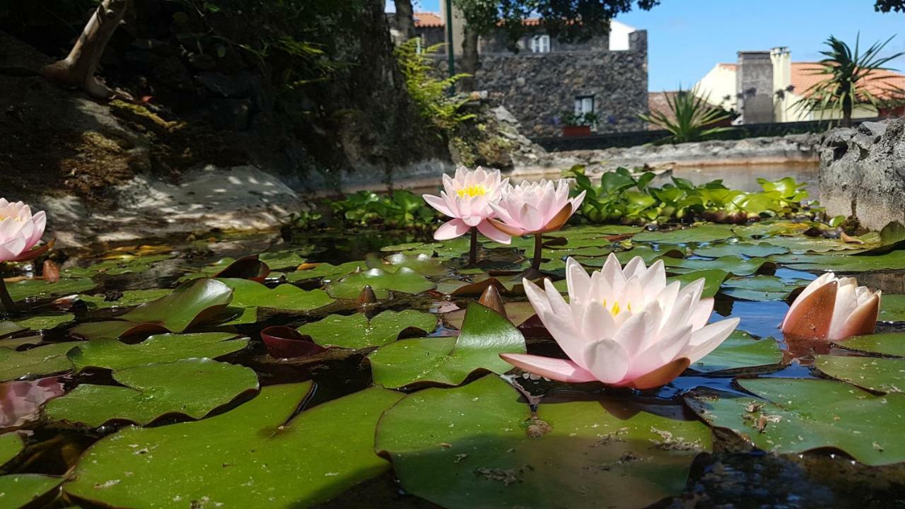Stonewood Lodge Al São Vicente Ferreira Eksteriør bilde
